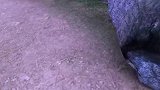猪猪侠和队友在森林里迷路，发现了一间小屋，从里边走出位老巫婆
