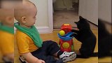 黑猫和宝宝玩着玩具，其乐融融，真是有意思！
