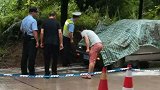 四川一老年代步车燃烧致2幼童死亡 车主系幼童爷爷已被控制