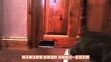 猫咪最坏能坏到什么程度？看完这些动作，请原谅我忍不住笑了！