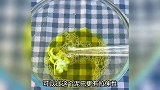 盐水洗洁精做硅胶假水，啥胶水都不用放，谁做谁成功