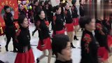 最新广场舞视频大全-20190223-简单时尚动感水兵舞 联欢版