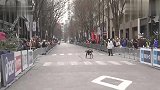 2018东京马拉松轮椅冠军 日本选手夺冠