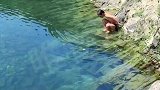 大山里面的天然泳池，你敢下去吗