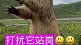 你可别碰我了，我会生气的哦