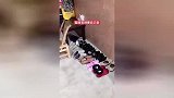 漂亮女人养不起，用天价护肤品住破屋，网友：消费关键真极端！