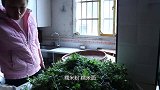 糯米粉的新做法，和蒿叶完美融合，鲜香软糯，吃着真香