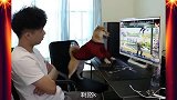 这不是电子厂招工视频谁信呐