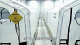 蚂蚁还可以缝合伤口？非洲地区很常见，伤口愈合还会自动脱落