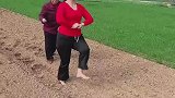 日种十亩玉米，就是有点费儿媳妇
