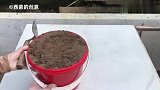 手工花盆DIY，用水泥和破碎的瓷片，制作漂亮的花盆工艺