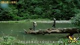 今天来聊聊教科书级国产佳作，《那山那人那狗》