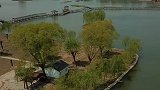 白洋淀半日游在荷花园内拍的美景