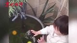鱼：终于亲到爱慕已久的小公主！