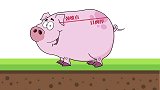 你知道猪为什么不能抬头看天空么？