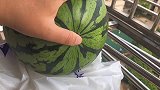 夏天到了，你们知道怎么挑西瓜吗？看完这个视频你就知道了！