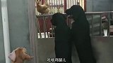 鹅：你往哪打呢，那是我刚生的蛋