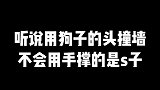 除了会啃拖鞋做坏事，其他的啥都不会