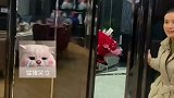 姐姐五十岁生日，弟弟手捧鲜花带家人组队送上祝福