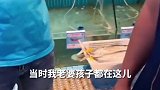 男子三亚吃海胆蒸蛋没有海胆 后续：店家称将起诉消费者。
