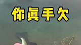 救鱼一命胜造七级浮屠，万一人家在避难呢