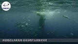 海滩出现一头“巨无霸”，开过来2台推土机，场面让人震撼