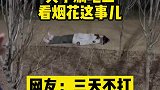 关于躺地上看烟花这件事