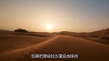 假如把撒哈拉沙漠变成绿洲，将会发生什么看得我直冒冷汗！