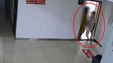 南京一男子进女厕所拍摄 被抓后称“想蹭网”