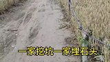 农村人种地真绝了，本来八米的大道