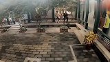 郭麒麟是真爱欺负陶阳！大晚上把阳哥锁在门外不让进屋，大林真坏