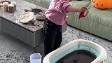 爸爸的小棉袄，真是一个孝顺的好孩子