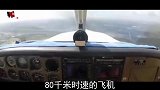 为什么鸟儿如此脆弱，却能把飞机直接撞坏？