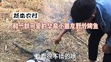 越南农村华裔小朋友们约我野外钓鱼烧烤（二）