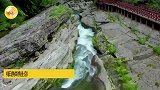 陕西一景区上演现实版鱼跃龙门，希望看到此视频的你，年年有余，咸鱼翻身~鱼跃龙门