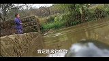 草鱼精修炼千年成功，在水面跳舞庆祝，结果被两岁小孩一棍打晕