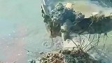 挖到一条大鲤鱼，本想请老板喝酒，没想到他突然给关机了？