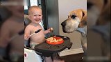 狗狗吃东西比宝宝还香，那当然，妈妈做的就是很美味啊！