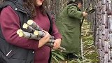 这回甘蔗够吃了