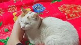 妈妈脚太臭了，我实在忍不了
