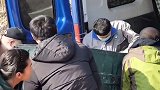 放猪归山！南京红山动物园1月19日放生一只150斤的野猪  江苏全民目击