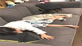 撸猫的日常，喵星人永远都那么懂得享受，一只脚丫就够了