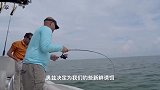 老外海钓海鲡，谁料被大牛鲨突然袭击，场面贼刺激！