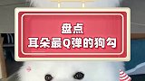 接下来将随机挑选一根毛，从耳朵上发射出去！