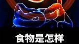 你知道食物是怎样变成便便的吗