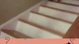 看到最后，发现我真的养不起！
