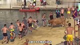 黄牛为了撞人，结果不小心掉进水里，游客们围观十分好玩