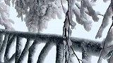 天门山的雪景真漂亮