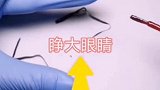 还敢涂指甲油吗
