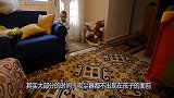 这对萌娃真可爱，弟弟可真淡定